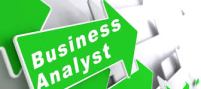 business analysts